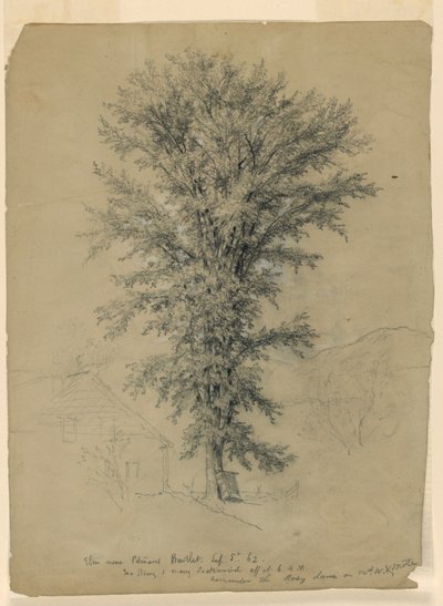 Pitman