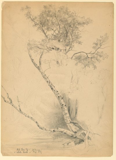 Eski Elm Top ve Beyaz Huş, Kuzey Conway, New Hampshire by Daniel Huntington