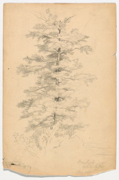 White Lake yakınlarındaki Hemlock Çalışması by Daniel Huntington