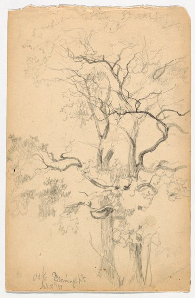 Dennings Point