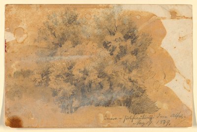 Ağaçların İncelenmesi, Cenevre by Daniel Huntington