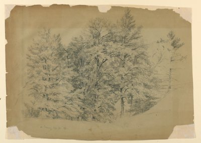 Ağaçların İncelenmesi, North Conway, New Hampshire by Daniel Huntington