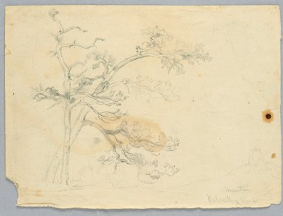 İki Çamın İncelenmesi, Catskill Dağları by Daniel Huntington
