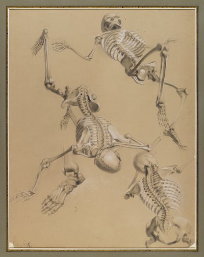 İskeletlerin incelenmesi, 1848 (kağıt üzerinde tebeşir) by Daniel Huntington
