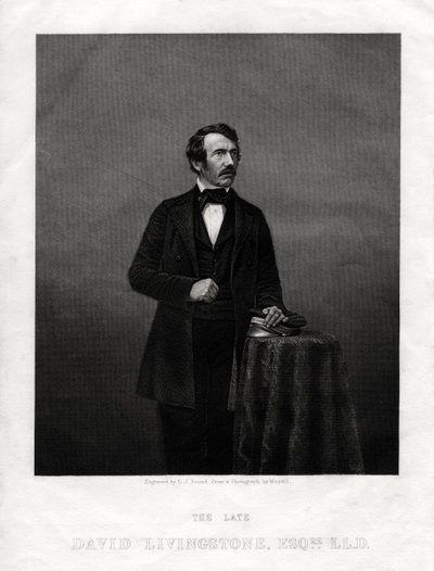 David Livingstone, İskoç misyoner ve Afrikalı kaşif, 1880 by Daniel John Pound