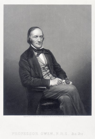 Sir Richard Owen, İngiliz zoolog, c1860. by Daniel John Pound