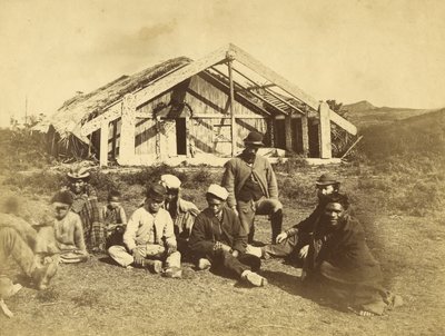 Kuwitis Runanga Evi, Waiona, Adalar Körfezi, 1870 dolayları (albüm baskısı) by Daniel Louis Mundy
