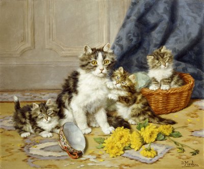 oynak yavru kedi by Daniel Merlin