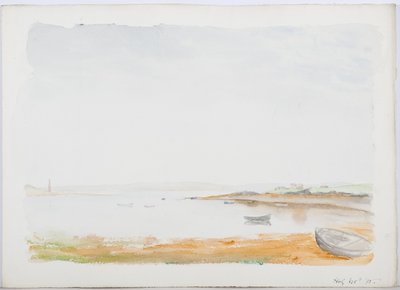 ಹೋಲಿ ಐಲ್ಯಾಂಡ್, 1895 (ಕಾಗದದ ಮೇಲೆ ಪೆನ್ಸಿಲ್ ಮತ್ತು ಡಬ್ಲ್ಯೂಸಿ) ಟರ್ಕ್ by Daniel Oliver