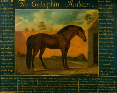 Godolphin Arap by Daniel Quigley