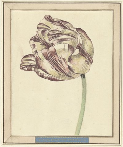 Bisar adlı Lale, Staten General by Daniël Marot (II)