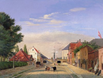 sokak sahnesi by Danish School