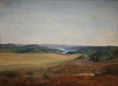 Silkeborg, Jutland yakınlarındaki manzara by Dankvart Dreyer