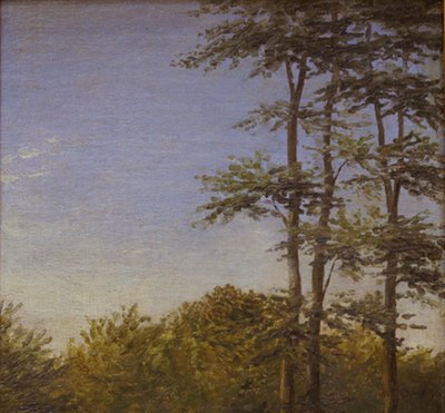 Çalılıklar ve Uzun Ağaçlar Çalışması, Funen by Dankvart Dreyer
