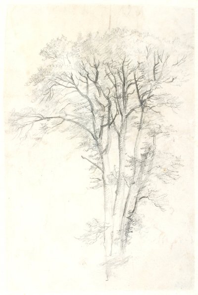 Ahşap çalışma by Dankvart Dreyer