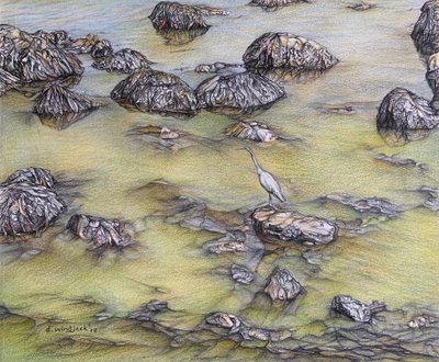  by Darrell Windjack