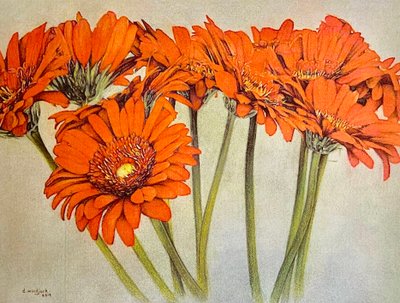 by Darrell Windjack