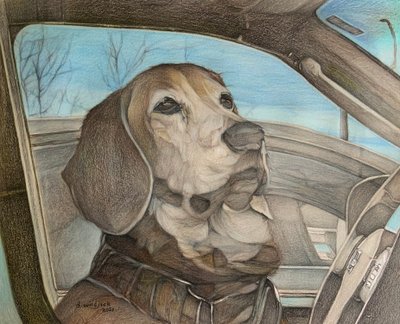  by Darrell Windjack