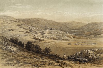 Nasıra'nın Genel Görünümü (renkli taş) by David (after) Roberts