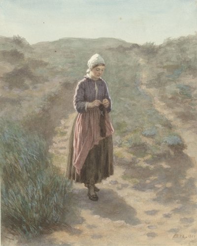 Zandvoort'taki kum tepelerinde by David Adolph Constant Artz