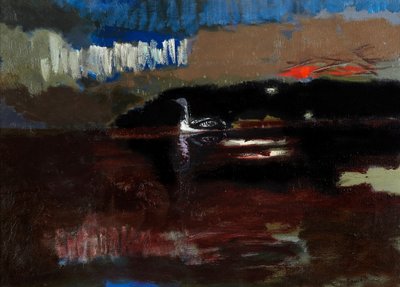 Kara Boğazlı Dalgıç, 1986 dolayları (tuval üzerine yağlıboya) by David Alan Redpath Michie