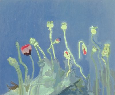 Poppyheads (tuval üzerine yağlıboya) by David Alan Redpath Michie