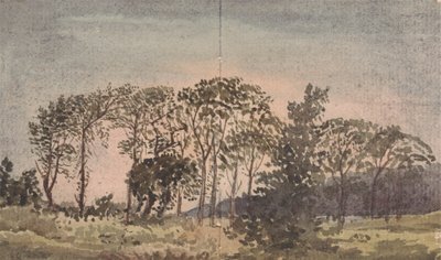 ağaçlar ile manzara by David Charles Read