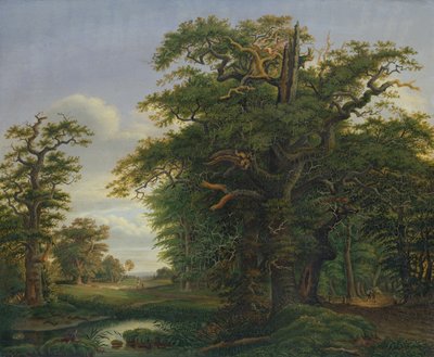 Meşe Ağacı, 1847 by David Christopher Mettlerkamp