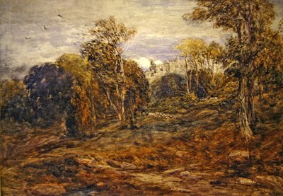 Barden Kulesi by David Cox