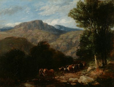Ford'u geçmek by David Cox