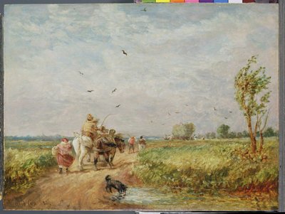 Hayfield