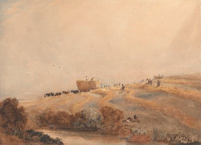 Saman yapma by David Cox