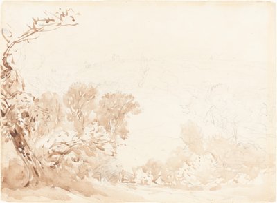 Yamaç ve Ağaçlar by David Cox