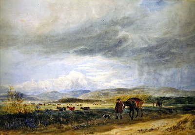 Llugwy Meadows (kağıt üzerine sulu boya) by David Cox