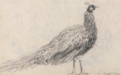 Capel Curig'de tavus kuşu by David Cox