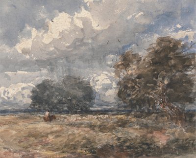 Sürüye Çobanlık, Rüzgarlı Bir Gün by David Cox