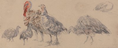 Türkiye Çalışması by David Cox