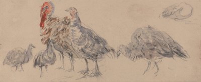  by David Cox