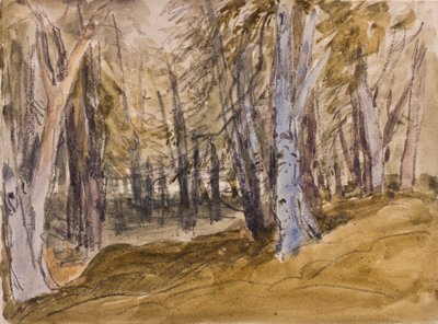 Box Hill'de Ağaçlar (kağıt üzerinde kömür ve wc) by David Cox