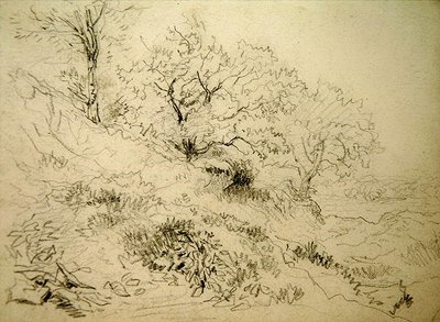 Galler Manzarası (kağıt üzerinde tebeşir) by David Cox