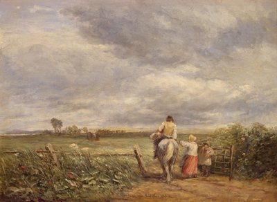 Hayfield