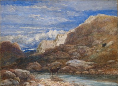 Meydan Okuma, 1853 by David Cox the elder