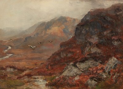 Highland Hills (tuval üzerine yağlı boya) by David Farquharson