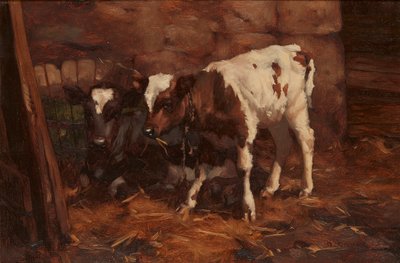 Su Kıçından İki Buzağı (tuval üzerine yağlı boya) by David Gauld