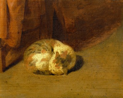  by David III Ryckaert