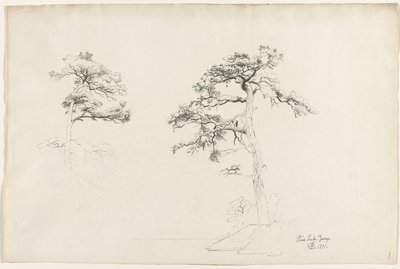 Çam, George Gölü, 1871. by David Johnson