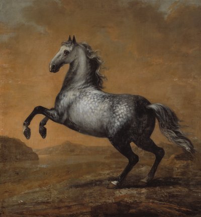 Küçük İngiliz, Kral Karl XI (1655-97)'in Atı by David Klöcker Ehrenstrahl