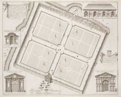 Hortus Botanicus, The Physick Garden, Oxon, 'Oxonia Illustrata'dan, 1675'te yayınlandı by David Loggan