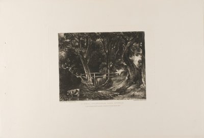 Bir Dell, Helmingham Parkı, Suffolk by David Lucas
