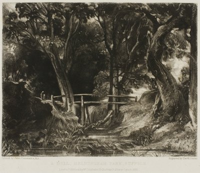 Bir Dell, Helmingham Parkı, Suffolk by David Lucas